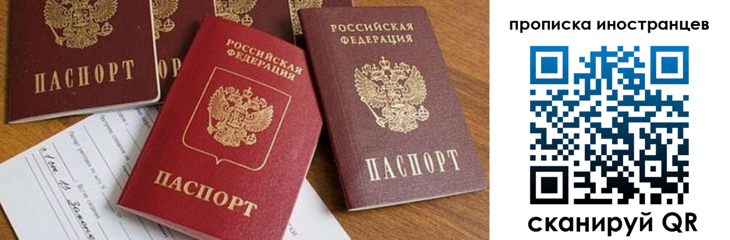 прописка в Каргополе
